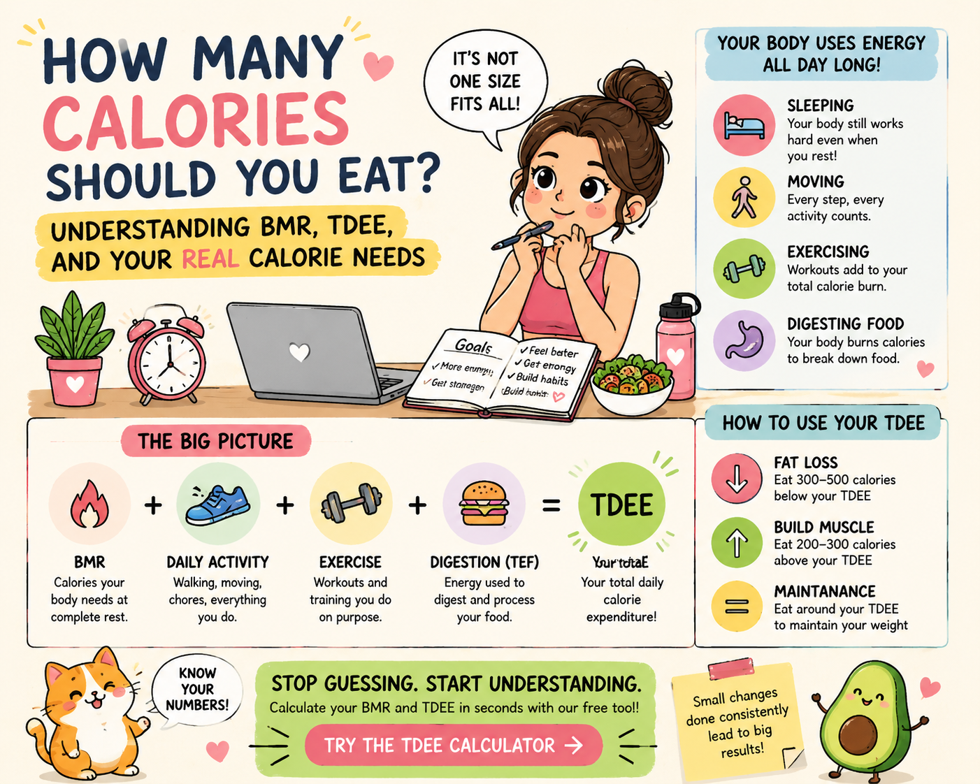 how-many-calories-should-i-eat-bmr-tdee-calculator
